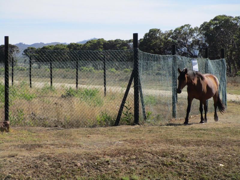 0 Bedroom Property for Sale in Fisherhaven Western Cape